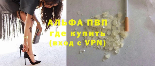 spice Козельск