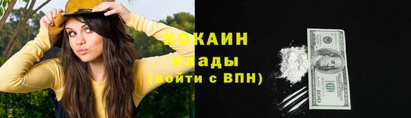 spice Козельск