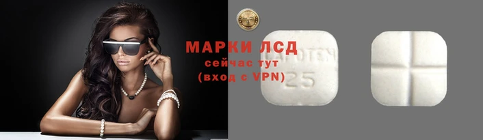 гидропоника Кинешма
