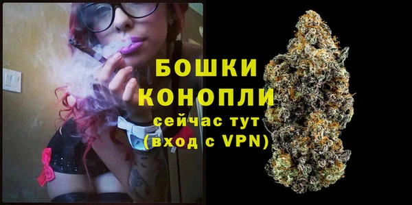 spice Козельск