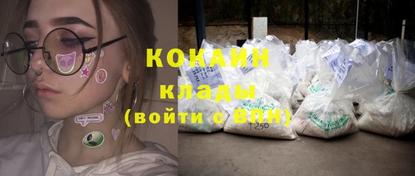 молекула духа Козловка