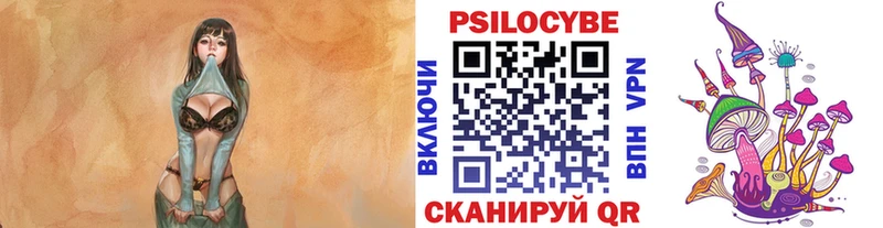KRAKEN вход  Светогорск  Псилоцибиновые грибы MAGIC MUSHROOMS 